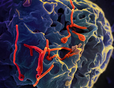 2026 SELF PACED (E-Learning) - Infectious Substances Training